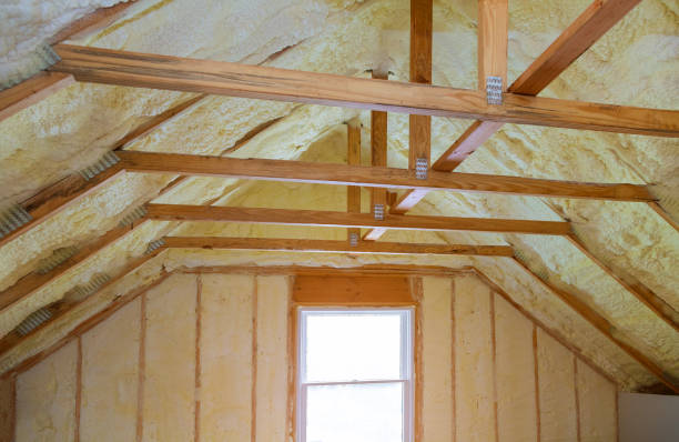 Best Energy-efficient Insulation  in Trail Creek, IN