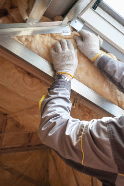 Best Residential Insulation Services  in Trail Creek, IN