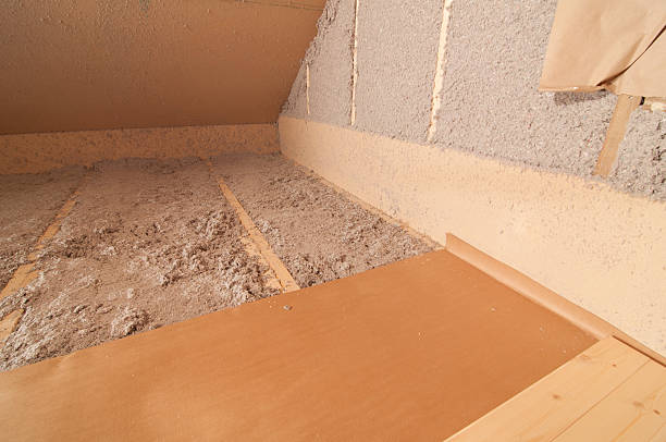 Best Garage Insulation Installation  in Trail Creek, IN